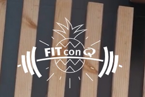 Fit con Q