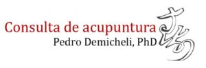 Pedro Demicheli
