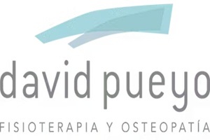 Clínica de fisioterapia y osteopatia David Pueyo clínicas de osteopatía en Madrid