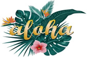 Masajes Aloha