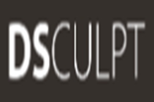 DSculpt