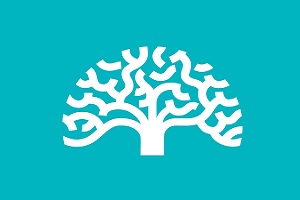 logo de FIVAN