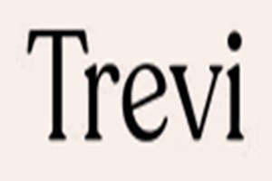 Trevi clínicas de estética corporal
