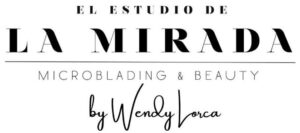 El Estudio De La Mirada